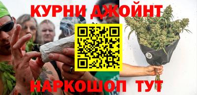 трава Гатчина