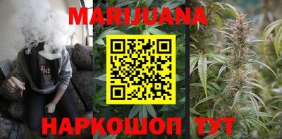 трава Гатчина