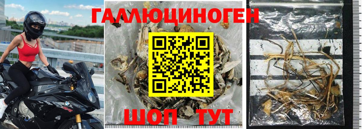 Псилоцибиновые грибы Magic Shrooms Медногорск